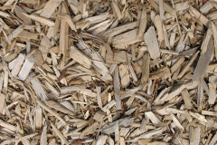 biomass boilers Adforton